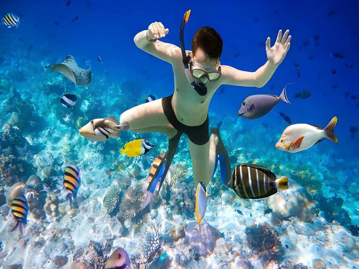 Du khách thỏa thích lặn ngắm san hô dưới làn nước trong xanh.