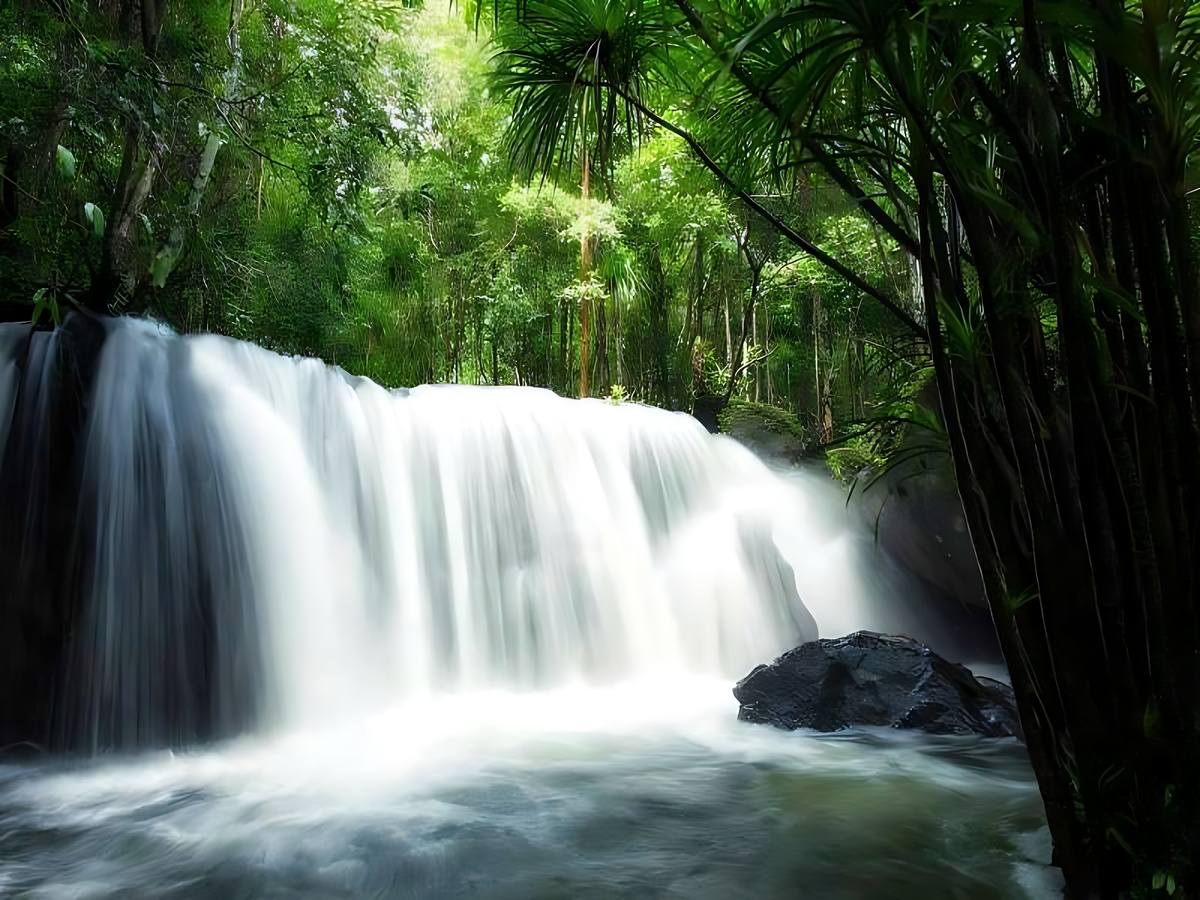 Du khách tham quan suối Tranh và tận hưởng không gian yên bình.