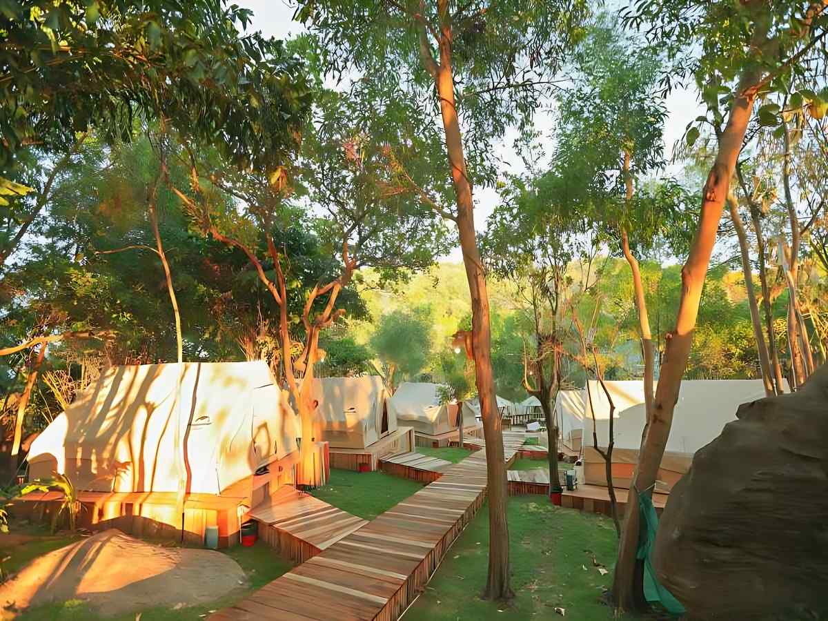 Du khách nghỉ dưỡng glamping ven rừng nguyên sinh Bắc đảo
