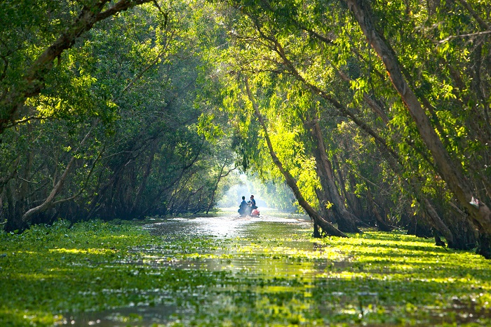 Rừng tràm Trà Sư từ lâu đã được xem là khu rừng ngập nước tiêu biểu của miền Tây Nam Bộ.