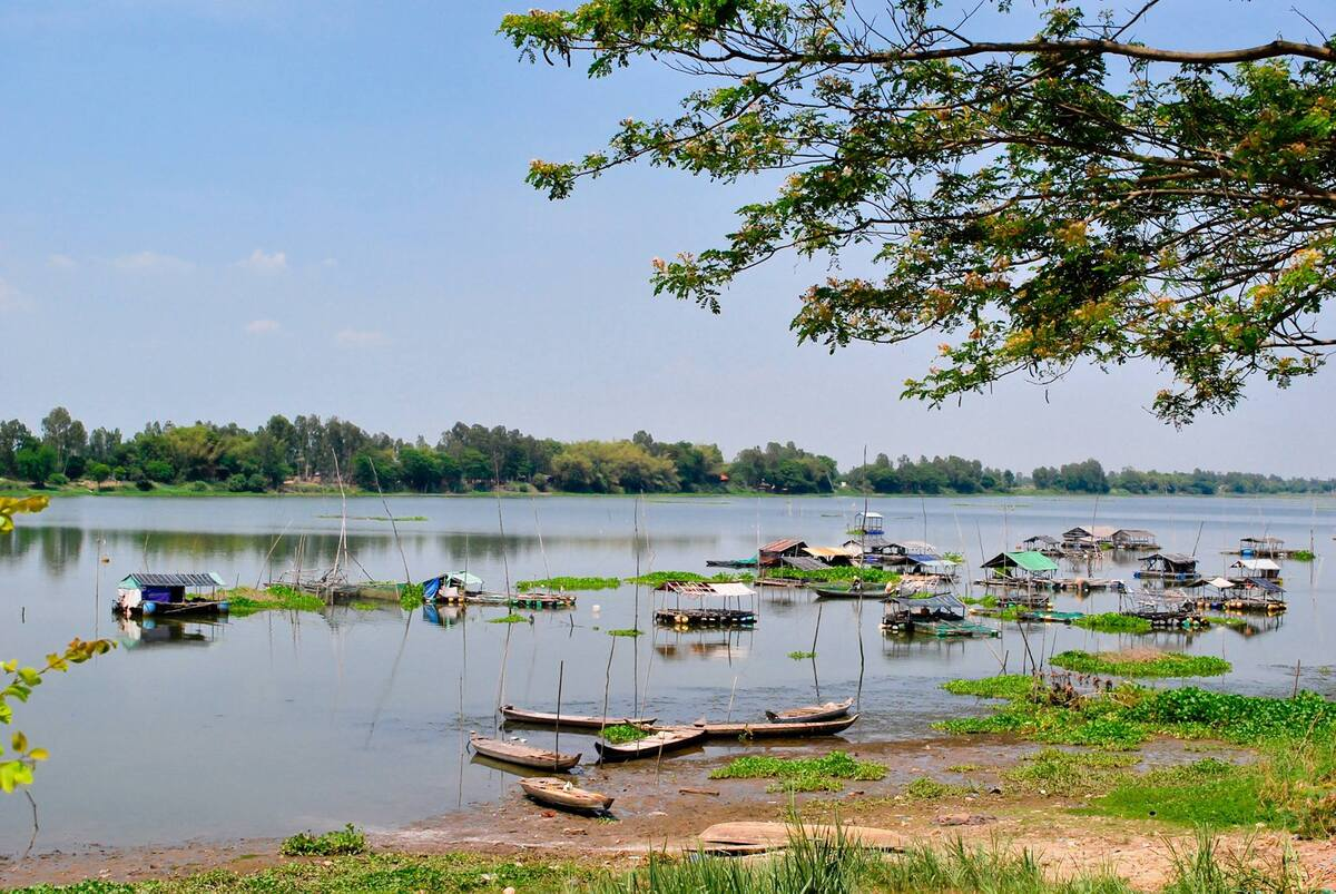 Búng Bình Thiên nằm cách Châu Đốc được xem là hồ nước ngọt tự nhiên lớn nhất miền Tây Nam Bộ.