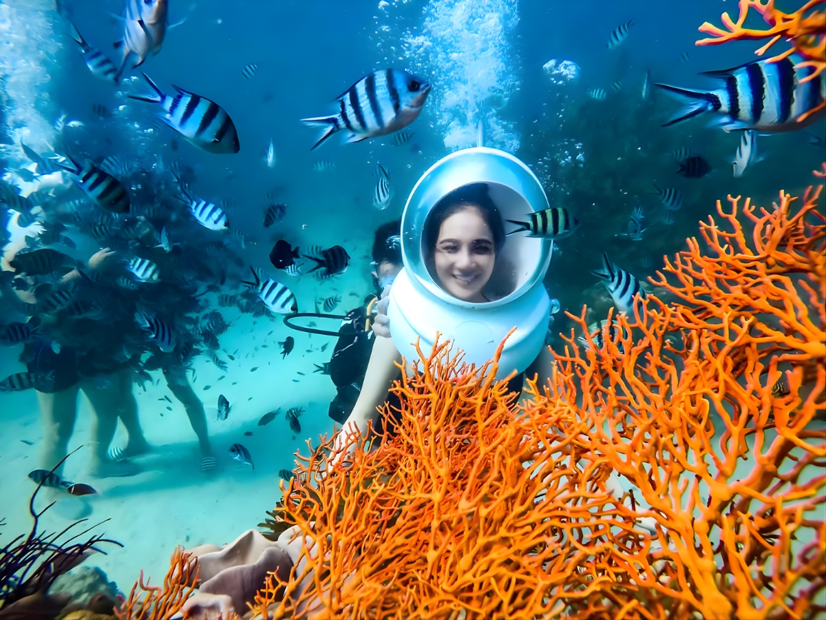 Experience walking underwater to see fish and coral.