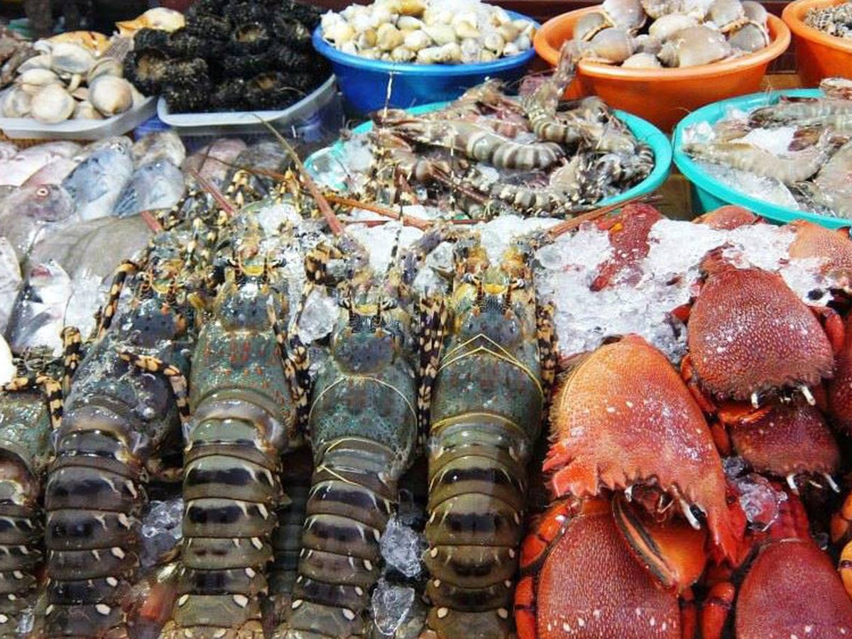 Hòn Thơm được thiên nhiên ưu ái cho nguồn hải sản tươi ngon, phong phú. 