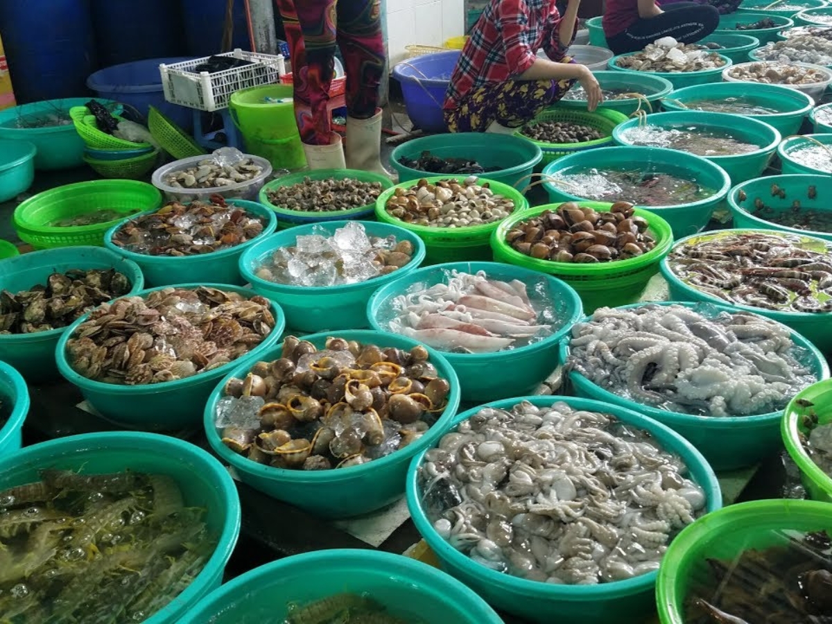 Hải sản tươi ngon, đủ chủng loại, tha hồ cho du khách lựa chọn. 