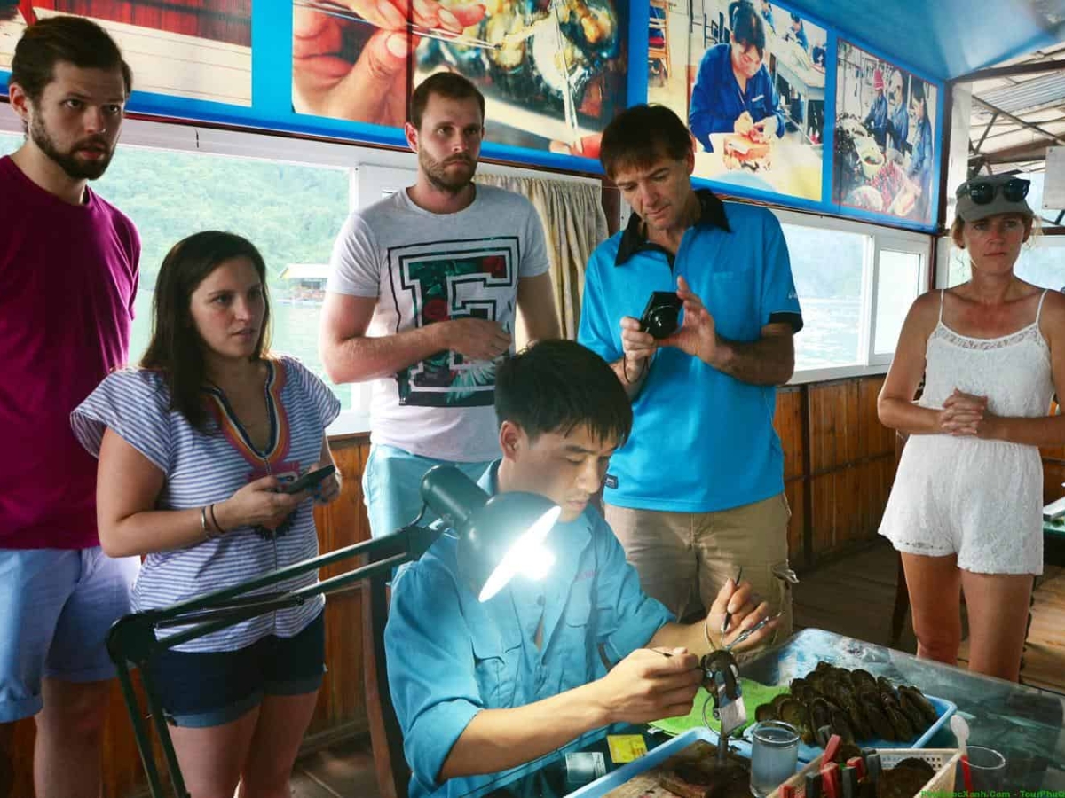 Du khách được tham quan và quan sát quy trình thu hoạch ngọc trai.