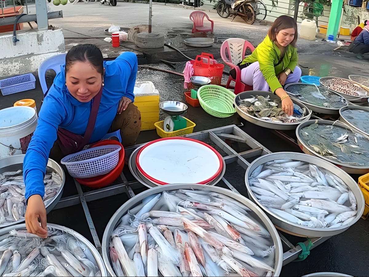 在甘油市場 (Ganh Dau)，遊客可以以實惠的價格選購新鮮美味的海鮮。