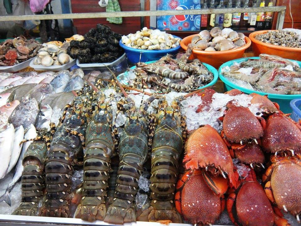Various fresh seafood at Ham Ninh Seafood Market 