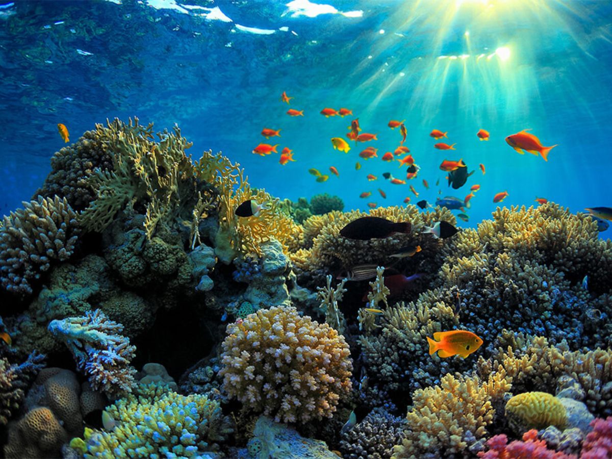 Hòn Rỏi thu hút du khách bằng vẻ đẹp tự nhiên chưa bị tác động nhiều.