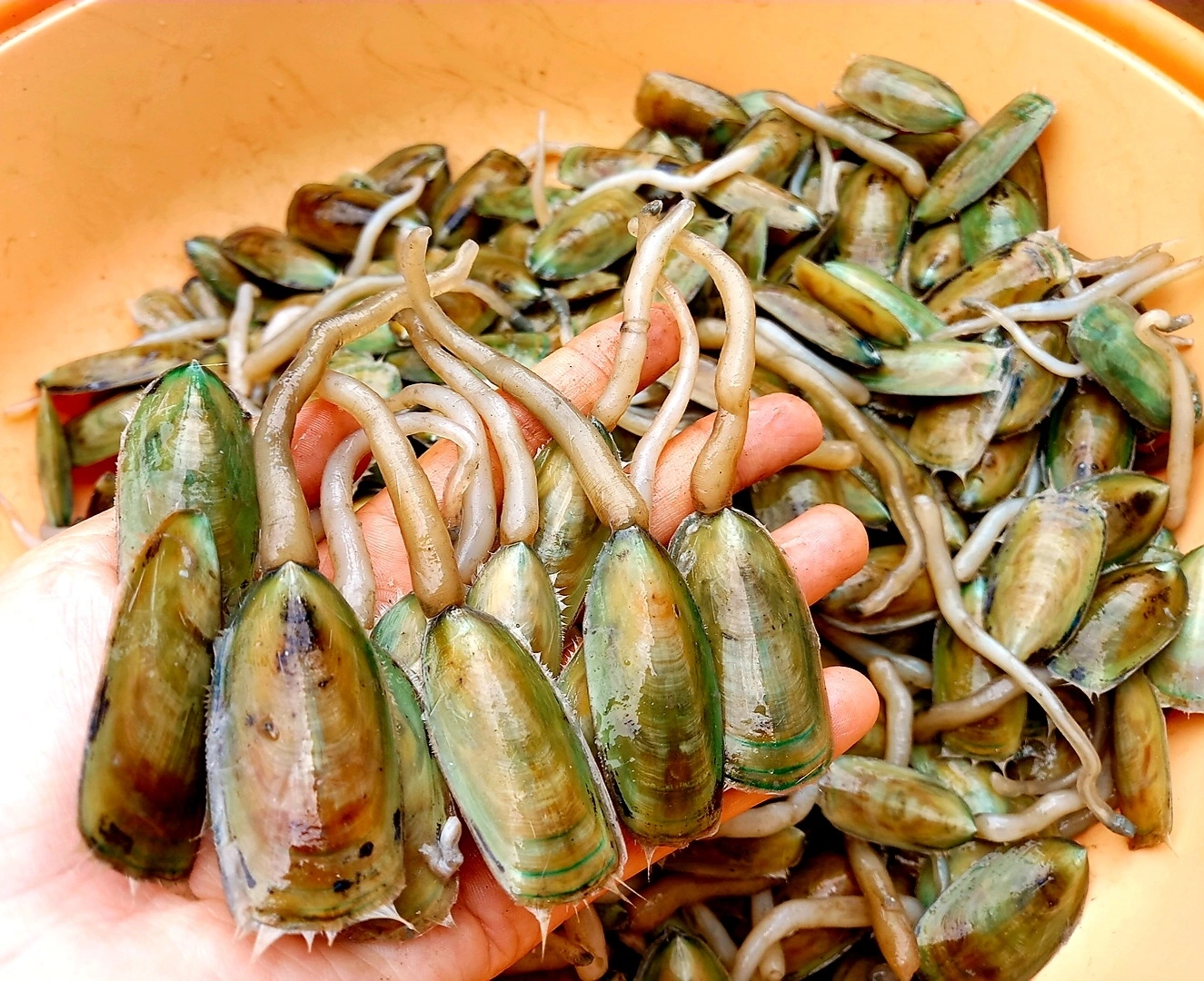 Cà xỉu là đặc sản Hà Tiên. 