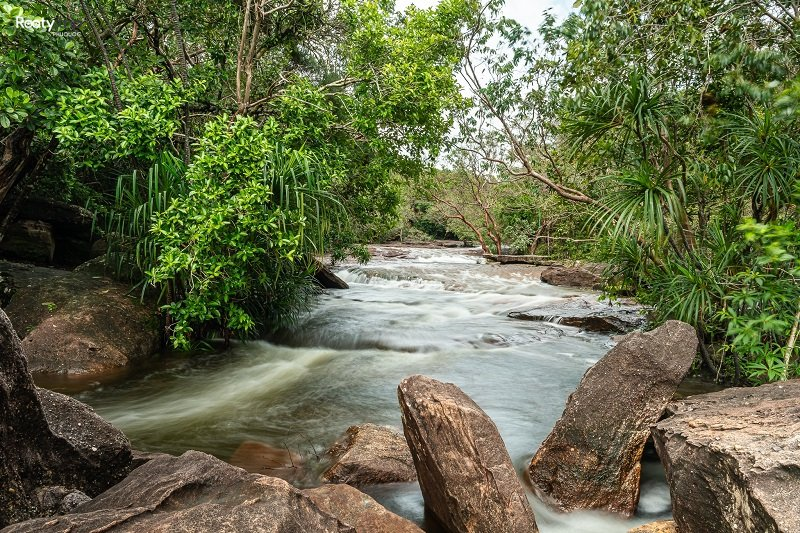 Dòng nước mát lành của suối Đá Ngọn