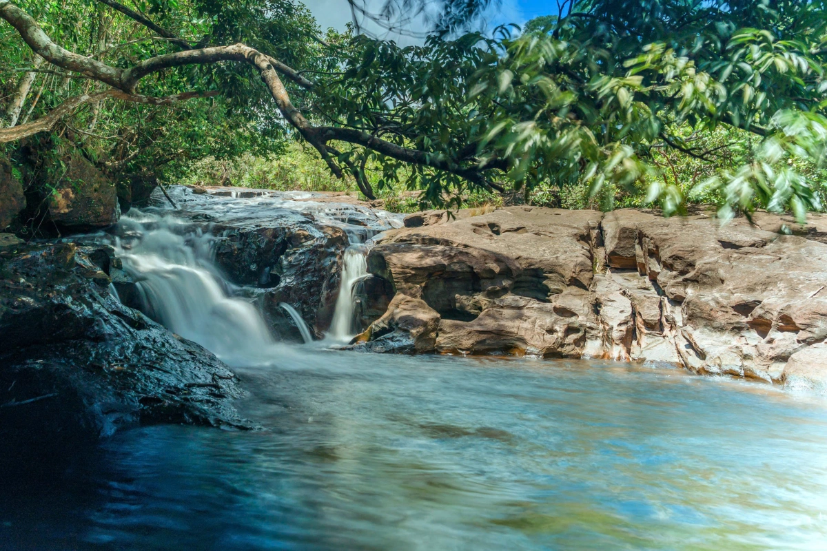 Dòng suối mát lành chảy xuyên rừng nguyên sinh Phú Quốc