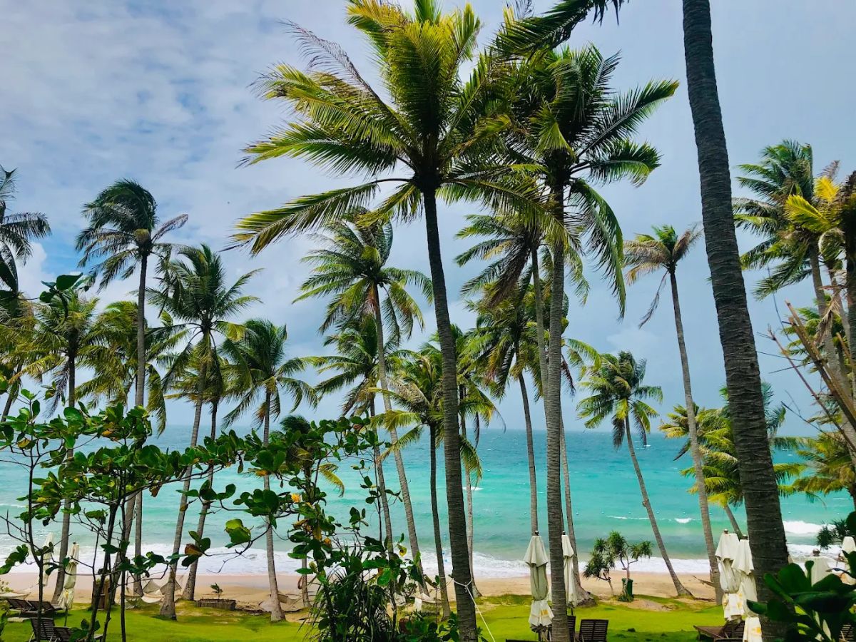 Không gian yên bình của Bãi Trào mang đến cảm giác thư giãn hiếm có cho du khách. 