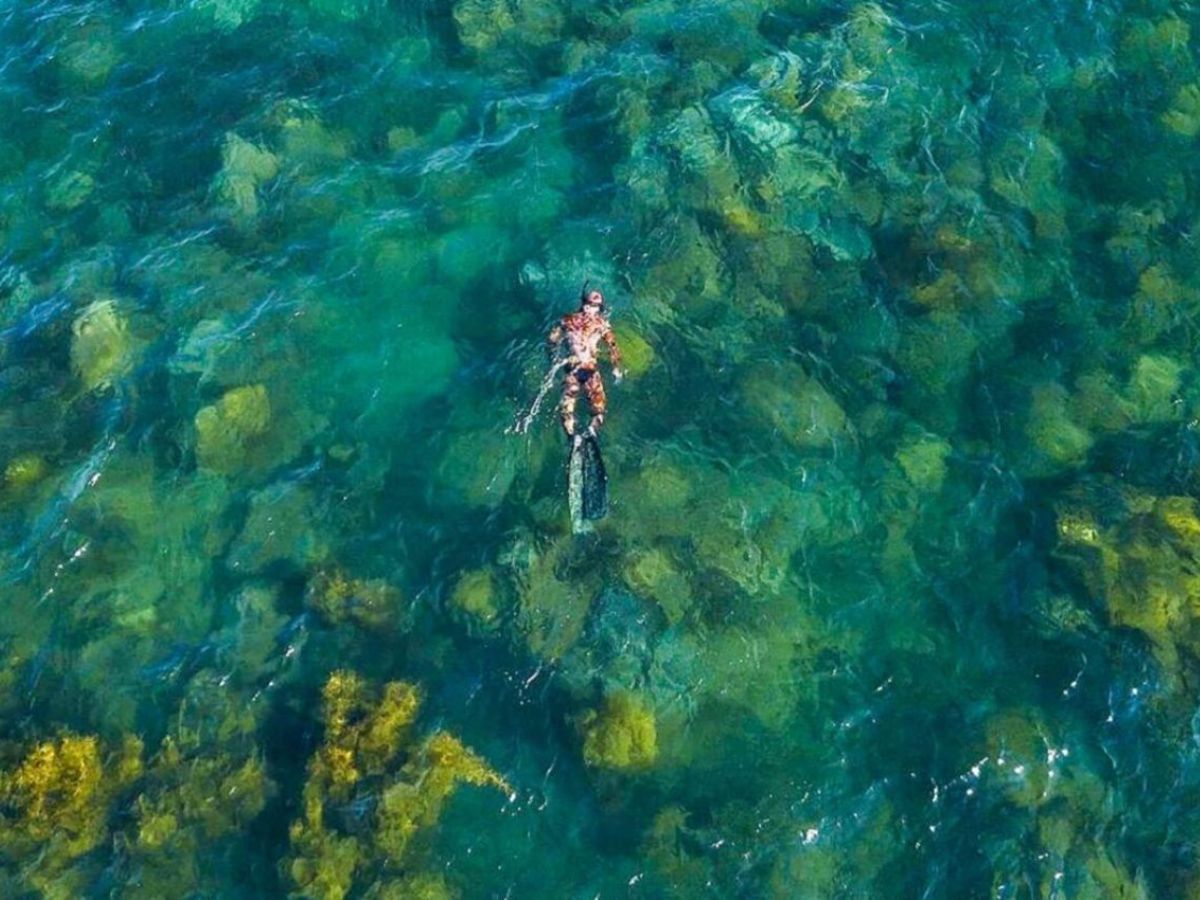 Hệ sinh thái phong phú tại Bãi Trào mang đến trải nghiệm lặn biển đầy thú vị. 