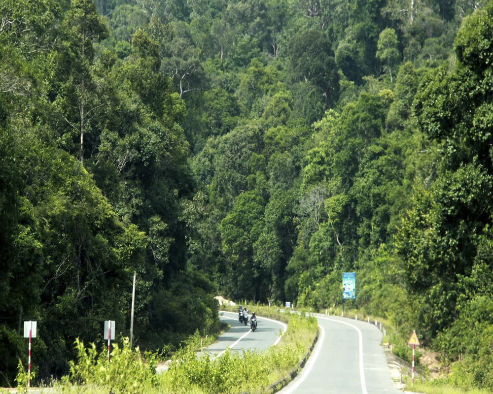 Cung đường di chuyển đến Vườn quốc gia Phú Quốc. 