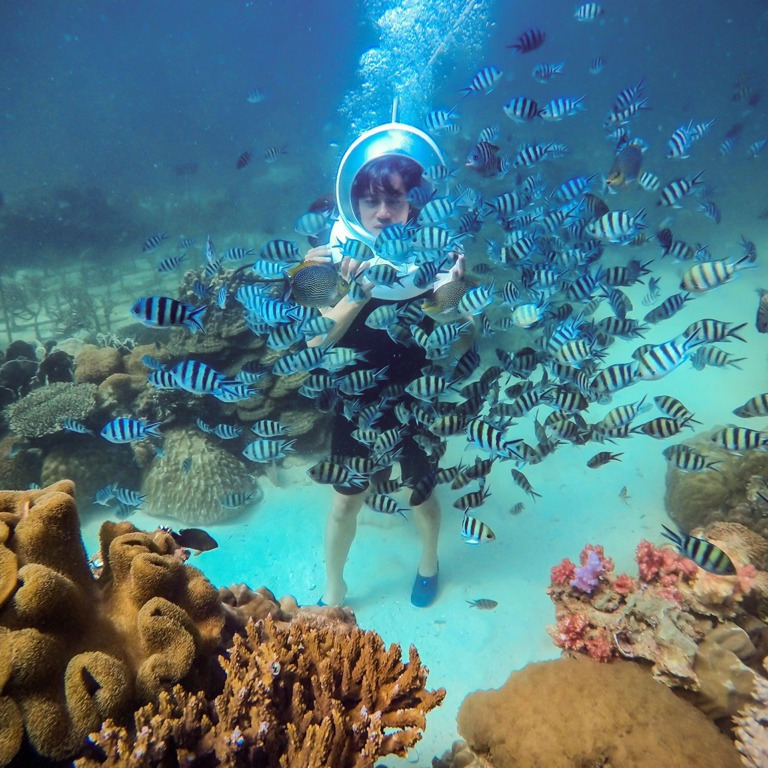 Đi bộ dưới biển là trải nghiệm khám phá đại dương độc đáo.