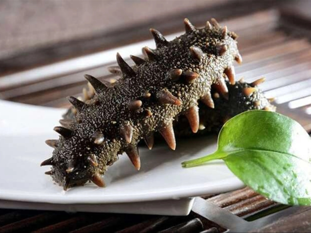 Hải sâm Phú Quốc là một trong những loại hải sản đặc biệt và quý hiếm của biển đảo. 