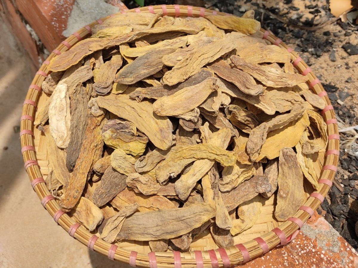 Trái mỏ quạ được rửa sạch và phơi khô trước khi đem đi ngâm rượu.