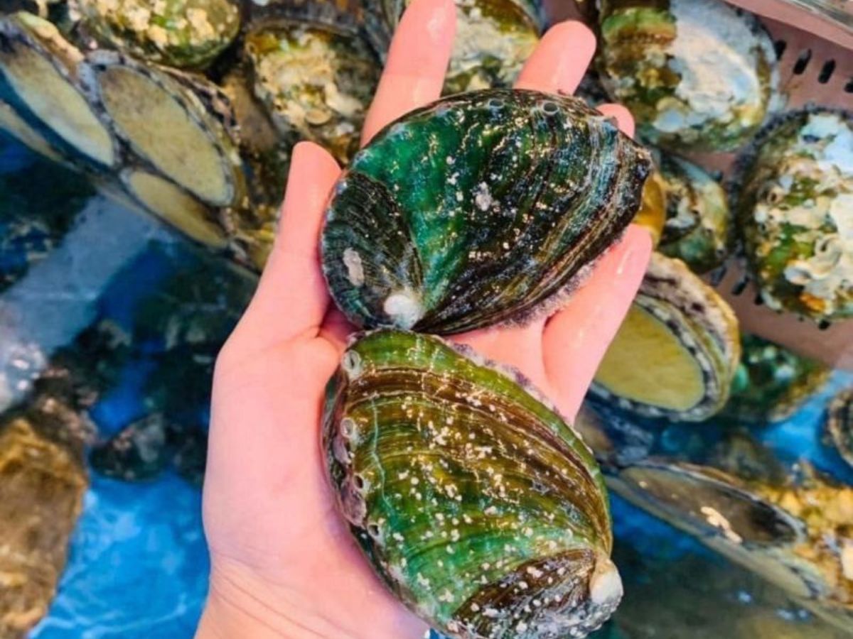 Ẩm thực Phú Quốc chinh phục vị giác bằng sự giản dị và đậm đà.