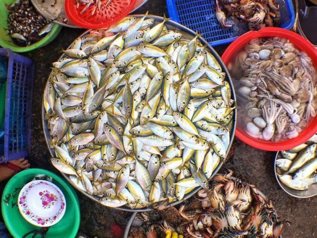 Trải nghiệm ẩm thực mang đậm nét mộc mạc của vùng biển đảo. 