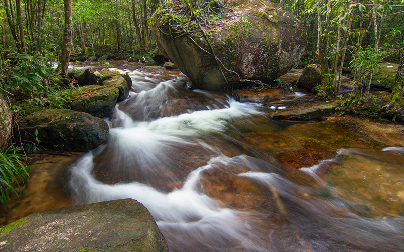 Dòng nước trong veo, mát lành tại suối Đá Bàn. 