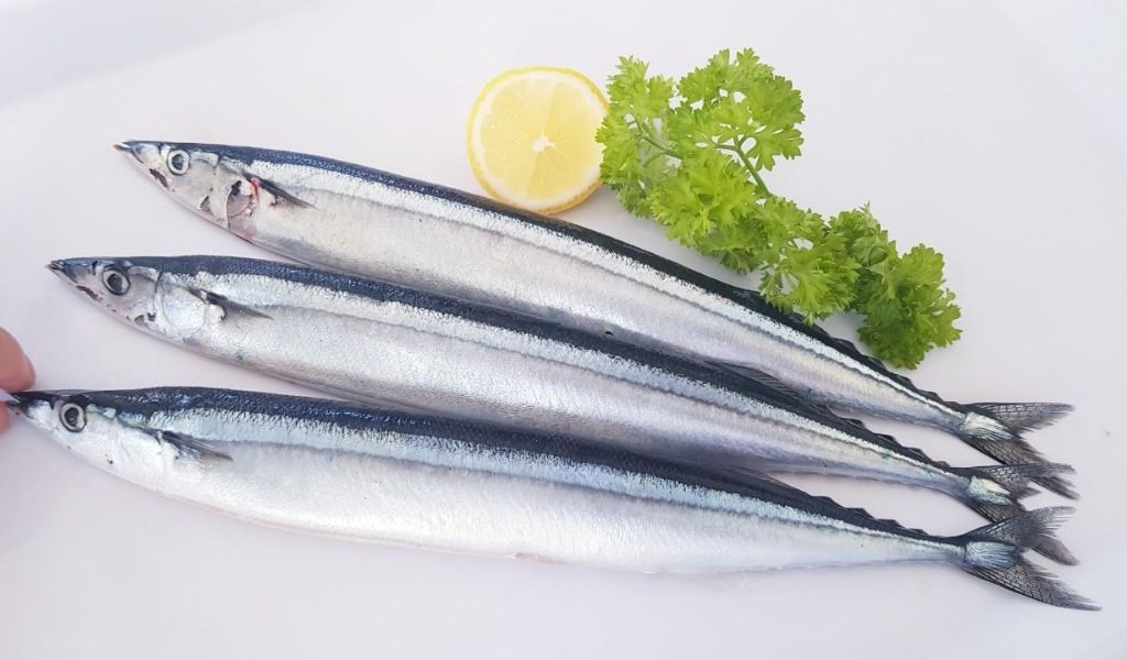 Cá tươi ngon chính là bí quyết làm nên hương vị độc đáo của bánh canh cá thu Phú Quốc. 