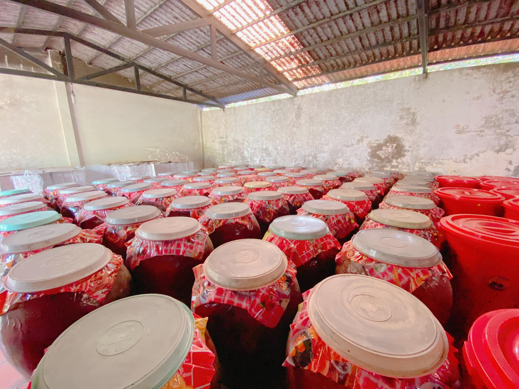 Những thùng rượu sim được ngâm khoảng 3 tháng để có vị cay nồng đậm đà.