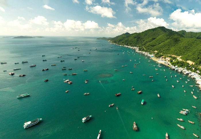 Không gian thiên nhiên xanh mát tại Bãi Ngự 