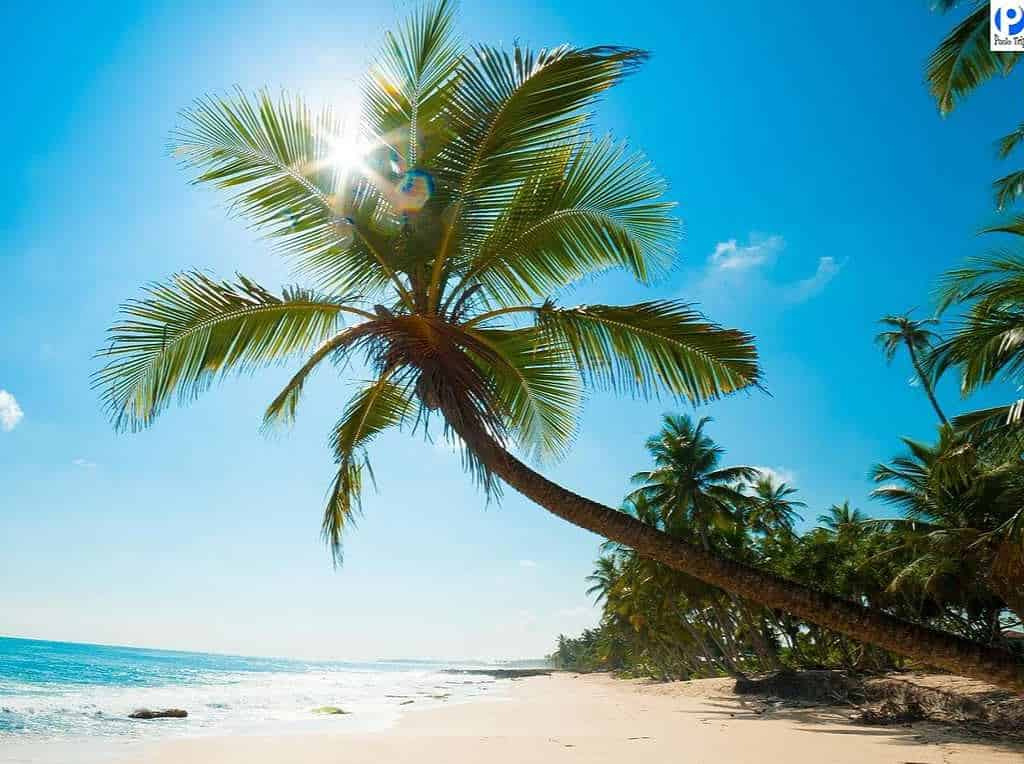 Bãi Ngự sở hữu nước biển xanh trong, cát trắng mịn gây ấn tượng với nhiều du khách 