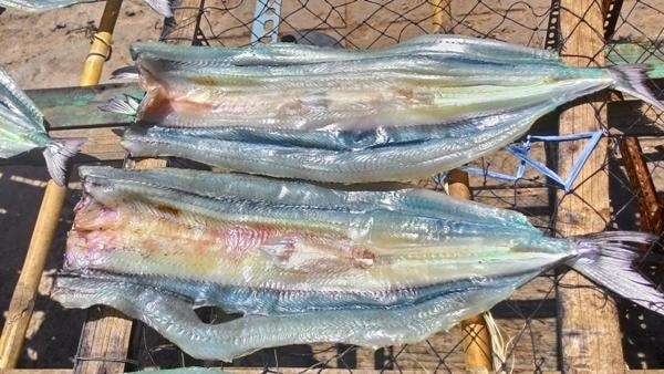 Cá xương xanh nướng là món ăn đặc sản tại Nam Du 