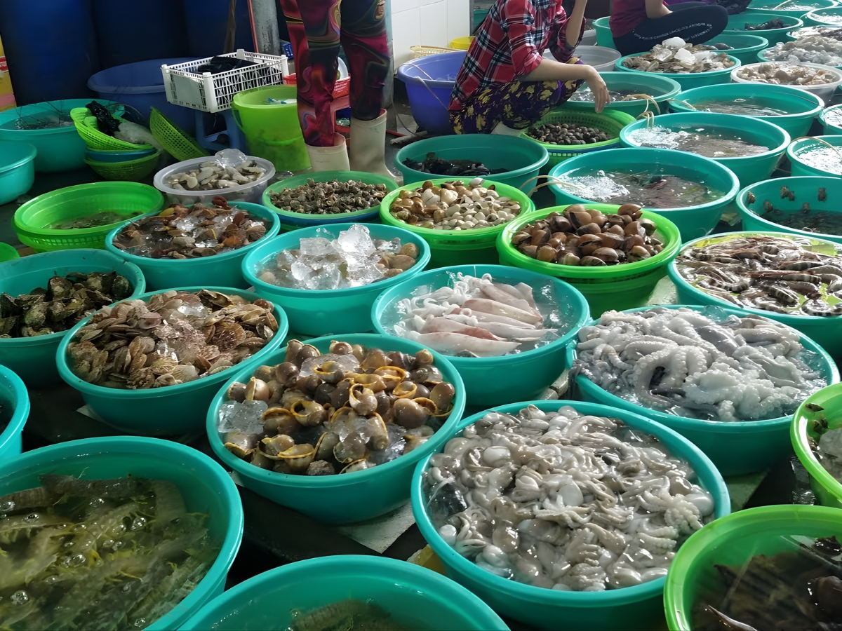 Nam Du nổi tiếng với nguồn hải sản tươi ngon, phong phú.