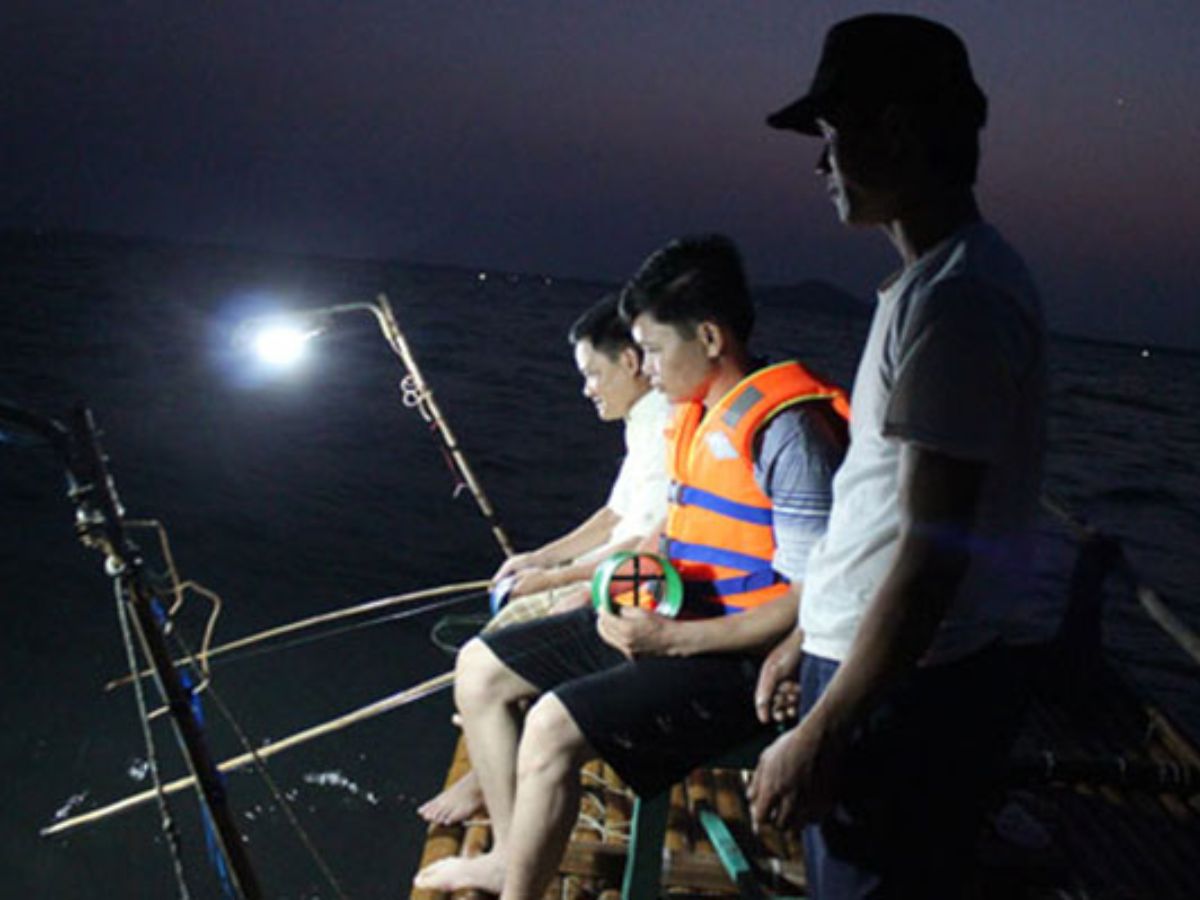 Thời điểm thích hợp nhất để câu mực đêm Phú Quốc là từ khoảng 18h00 đến 20h30.